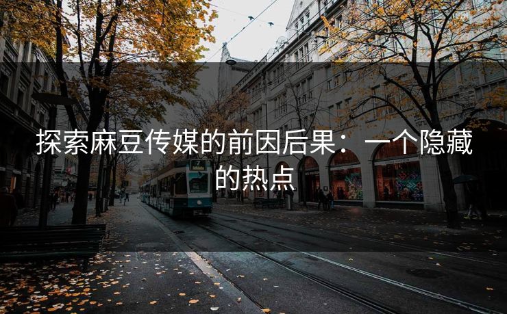 探索麻豆传媒的前因后果：一个隐藏的热点