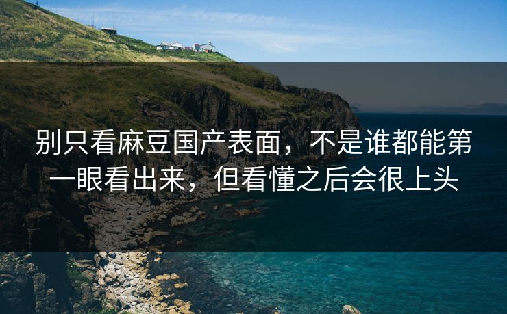 别只看麻豆国产表面，不是谁都能第一眼看出来，但看懂之后会很上头